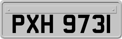 PXH9731