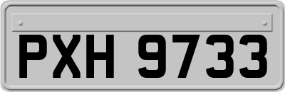 PXH9733