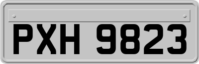 PXH9823