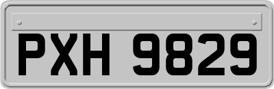 PXH9829