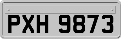 PXH9873