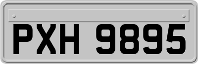 PXH9895