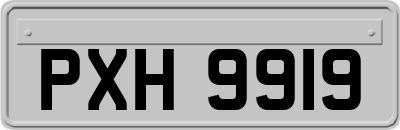 PXH9919