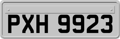 PXH9923