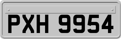 PXH9954