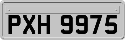 PXH9975