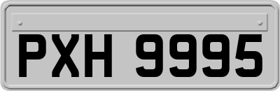 PXH9995