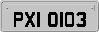 PXI0103