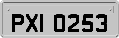 PXI0253