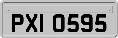 PXI0595