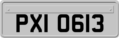 PXI0613