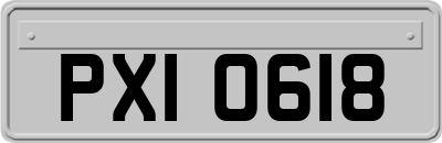 PXI0618