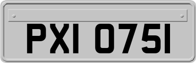 PXI0751