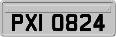 PXI0824