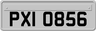 PXI0856