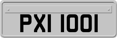 PXI1001