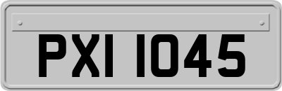 PXI1045