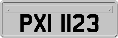 PXI1123