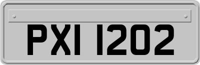 PXI1202