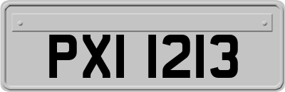 PXI1213