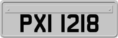 PXI1218