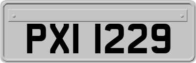 PXI1229