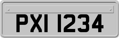 PXI1234