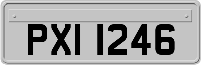 PXI1246