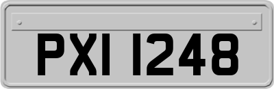 PXI1248