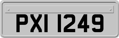 PXI1249