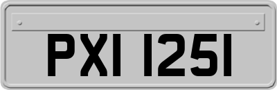 PXI1251