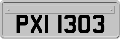 PXI1303