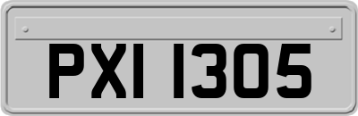 PXI1305