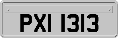 PXI1313