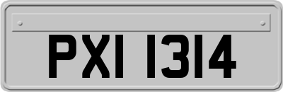 PXI1314
