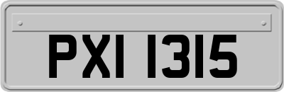 PXI1315