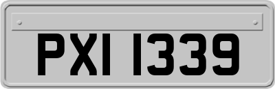 PXI1339