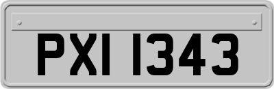 PXI1343