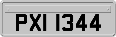 PXI1344