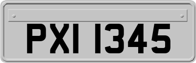 PXI1345