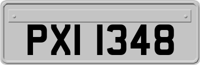 PXI1348