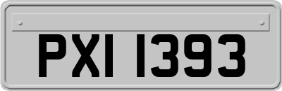 PXI1393