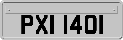 PXI1401