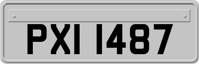 PXI1487