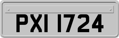 PXI1724