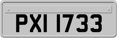 PXI1733