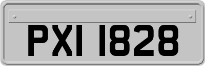 PXI1828