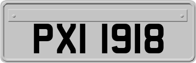 PXI1918