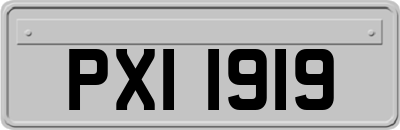 PXI1919