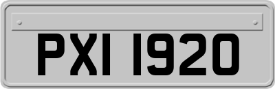 PXI1920